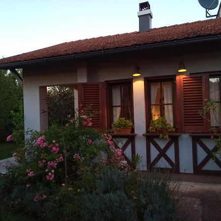 Ferienwohnung Nikolija 1 Bajina Basta Exterior foto